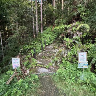 スタートから約3.5km舗装路を歩き、やっと登山口到着
熊が出るようなので熊鈴鳴らしながら進む