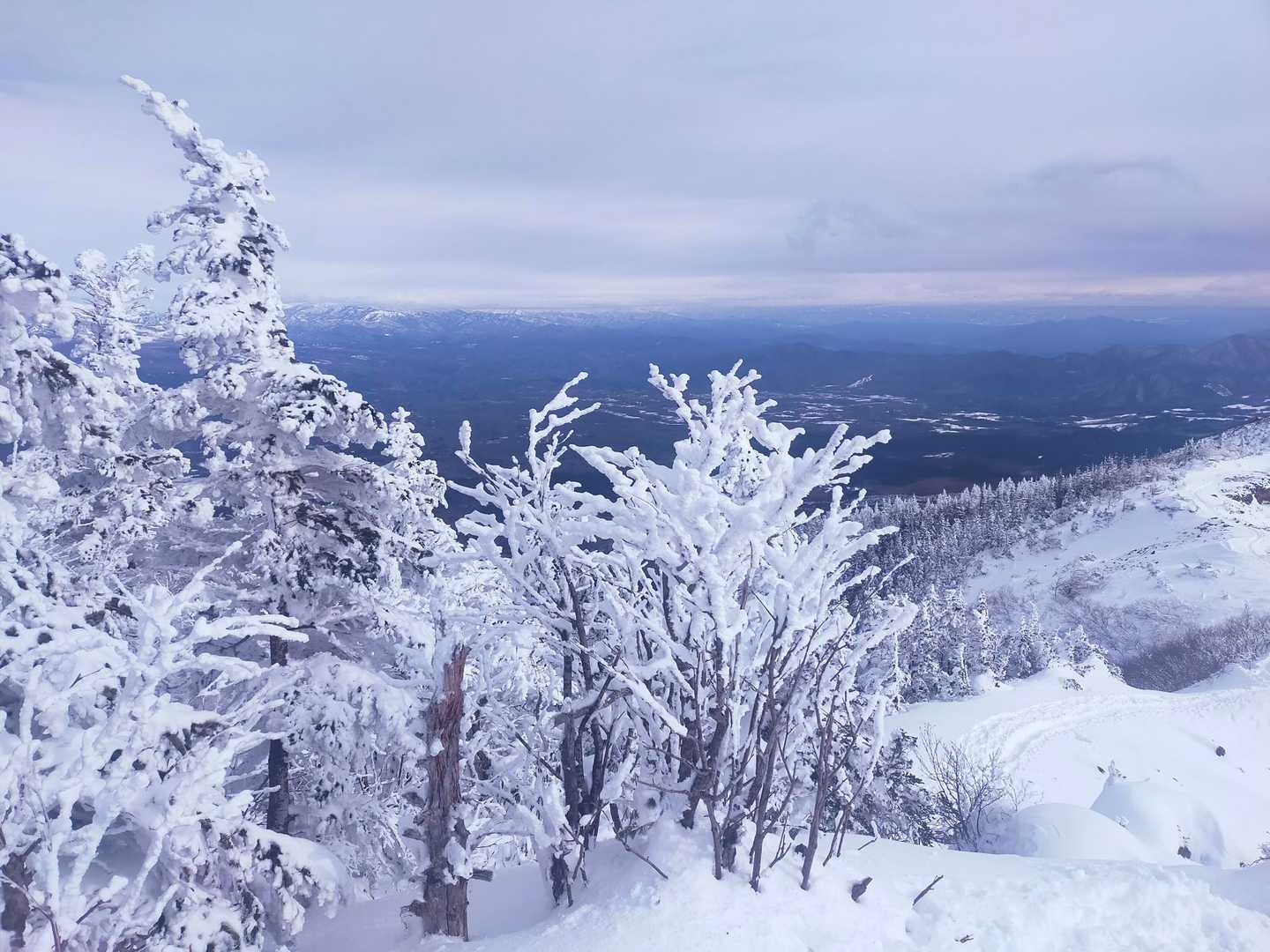 ❄