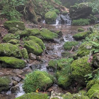 昨日の🌧️で、水量が増してますが、それがまたいい👍