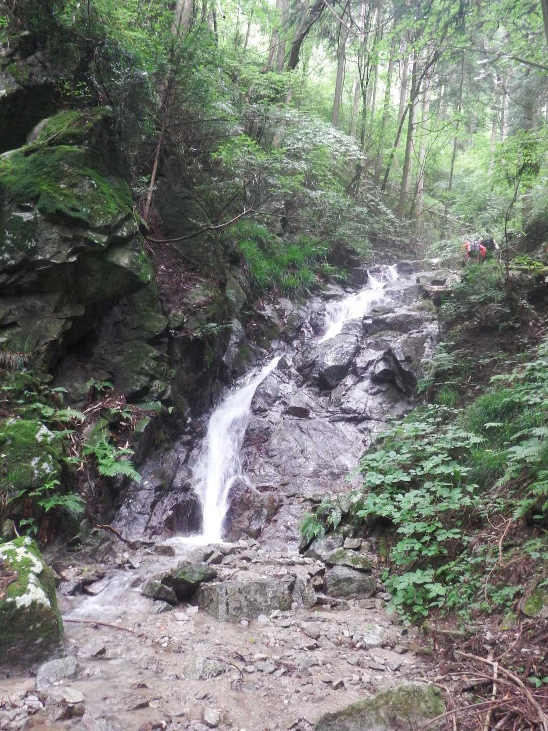 百ヶ辻登山口-伏見峠-久留野峠-中葛城山-高谷山-千早峠- 縦走コースの写真