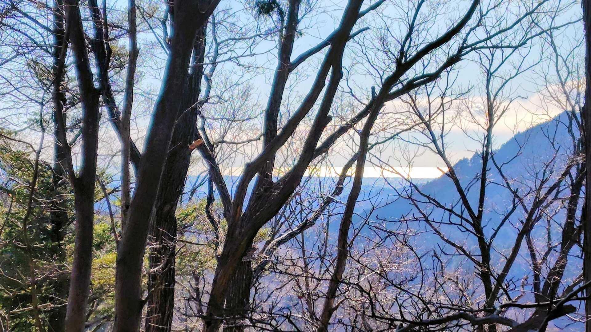歩きやすい山道から海
東京湾？相模湾？