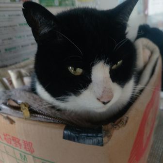 [七ツ石小屋]
七ツ石小屋の支配人、でんごろうさん。