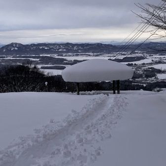 さっきお世話になった東屋🍄️
