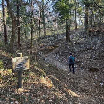 さぁ最後のピークに向かいます！