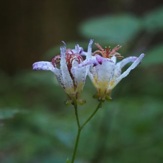 おつかれ山でした
この後下山メシはAROIへ
写真撮り忘れてた😂