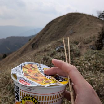 なお箸を忘れて枯れススキの茎むしって箸にした模様
