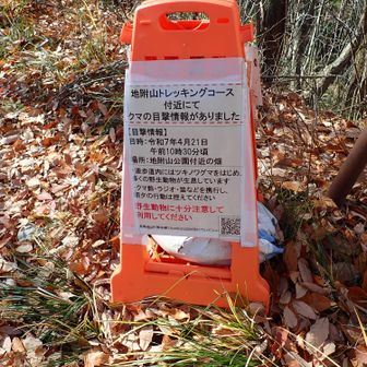 4月にクマの目撃あり。実は朝方、鳴き声が聞こえた気がしました。あまり早い時間歩くのは怖い。