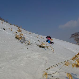 おこじょさん尻滑り