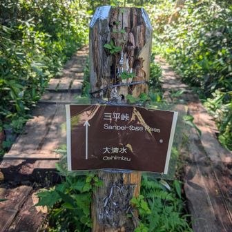 三平峠、一ノ瀬、大清水方面へ
