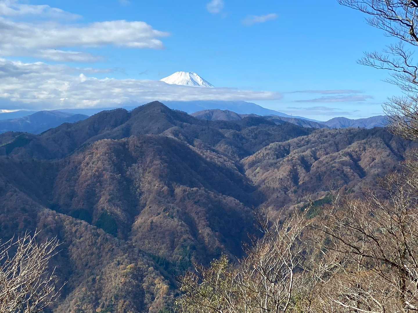 西丹沢ビジターセンターバス停-ツツジ新道入口-犬越路-大杉 周回コースの写真