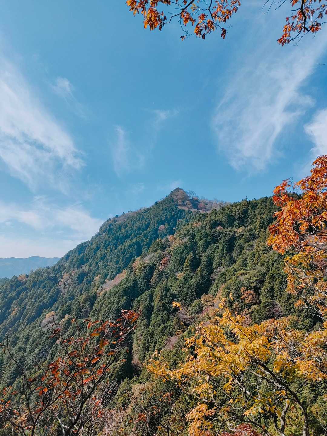 錫杖ケ岳が綺麗に見えますね🍁