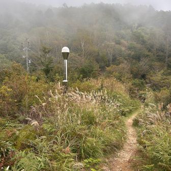 電子基準点　浪合　蛇峠山登山口より反対方向へ登るとあります。
