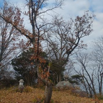 善通寺と屋島北嶺を結ぶ讃岐のレイラインのちょうど中間にあたる重要な聖山とのこと。
残念ながらそれを感じられる能力は。。。無い