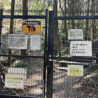 こちらから入る