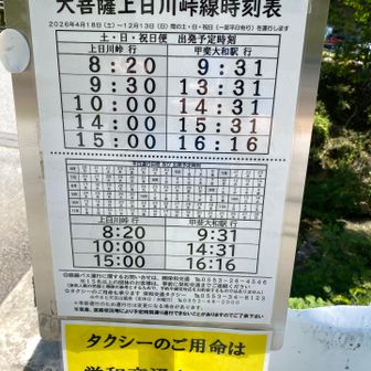 15:31と16:16などちらかで帰りますか