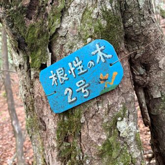 いくばくか分けてほしい…


このキツネの看板シリーズ、甲武信ヶ岳付近でよく見る。かわいくて好き🦊