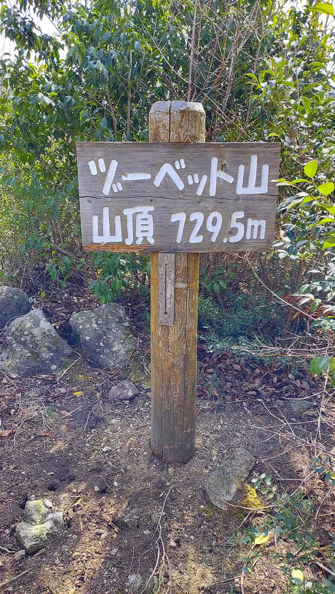 山頂🌲いい名前🌋