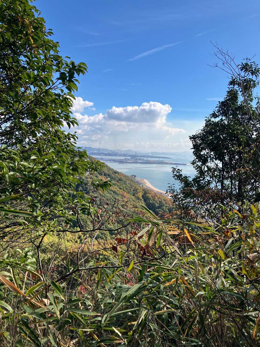 沙美峠-竜王山 往復コースの写真