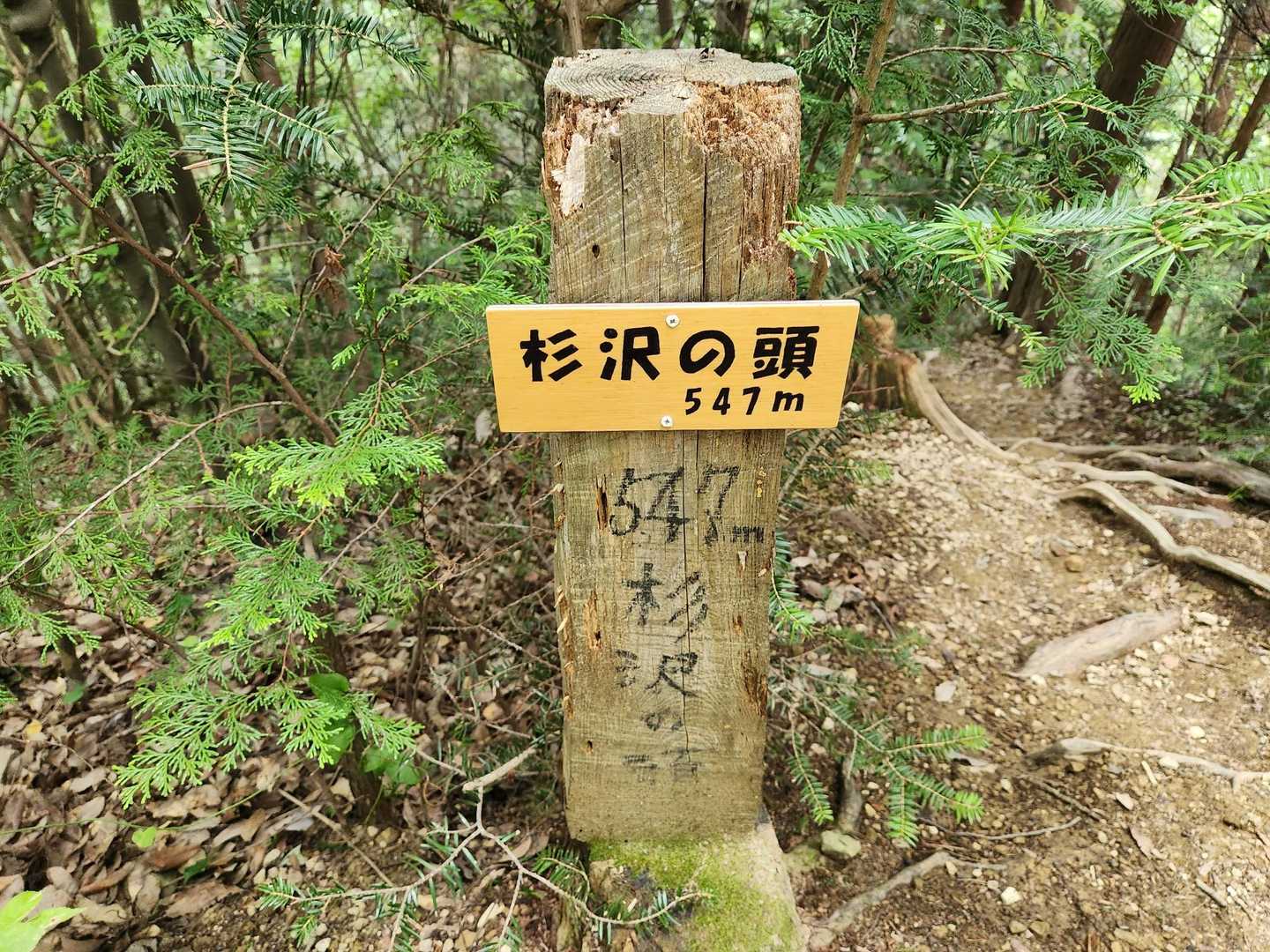 まだまだ行く