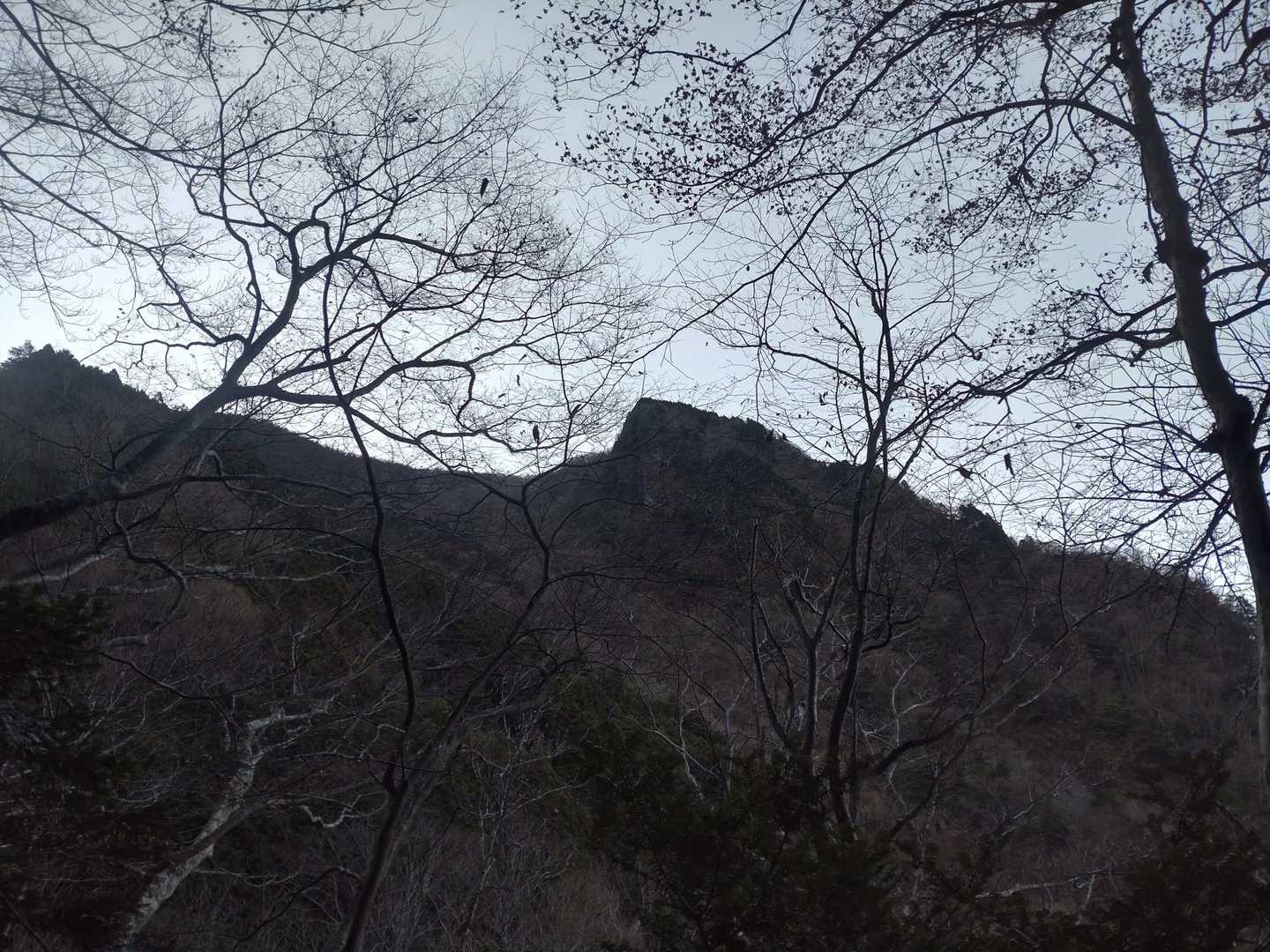 真富士神社　あの辺り☝️