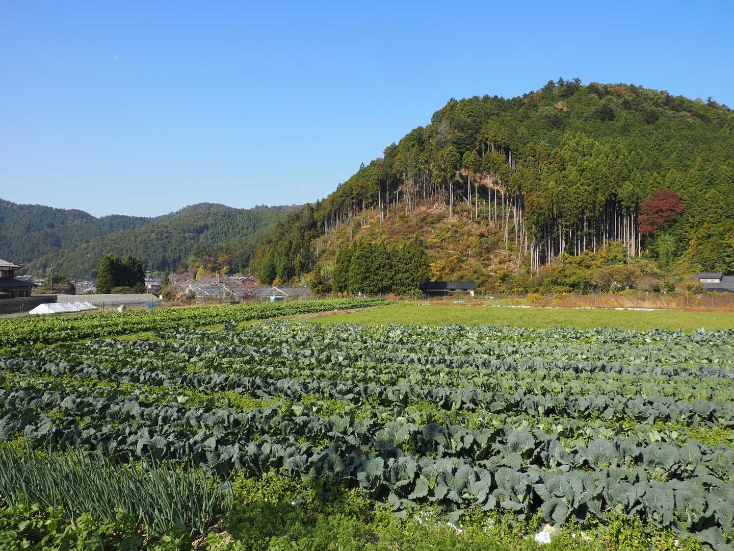 戸寺バス停-江文峠-山門駅-二ノ瀬駅 縦走コースの写真