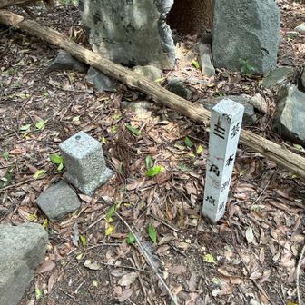 初めまして経ケ峰いただきです。