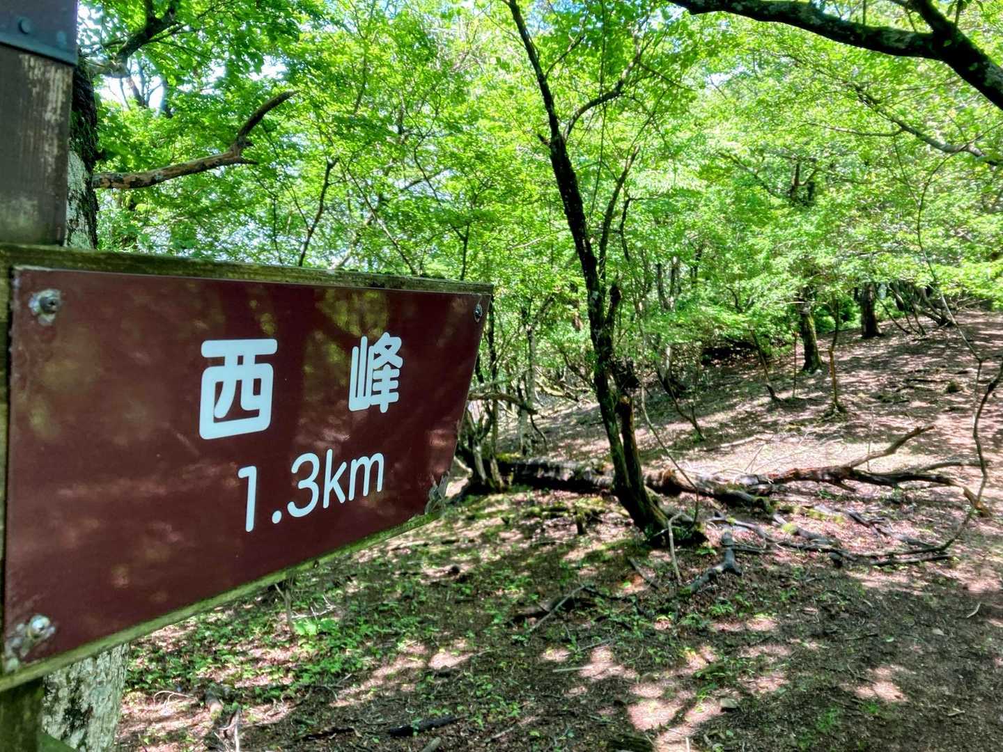 まずは西峰へ行きます