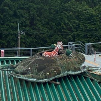 なんで亀にキリンが？
かなりシュール