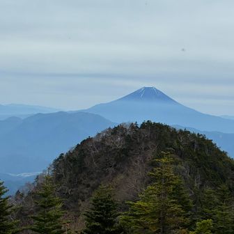 小笊越しの富士山