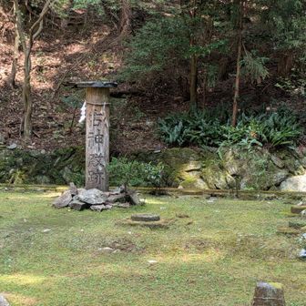 古神殿跡です。
周囲は観光客の皆さんで賑わっていました。
「線香の匂いがするね。」と観光客。
寺じゃないので、線香はあげてありません。
私の蚊取り線香がラベンダーの香りなので、間違いなく犯人は私でした。
