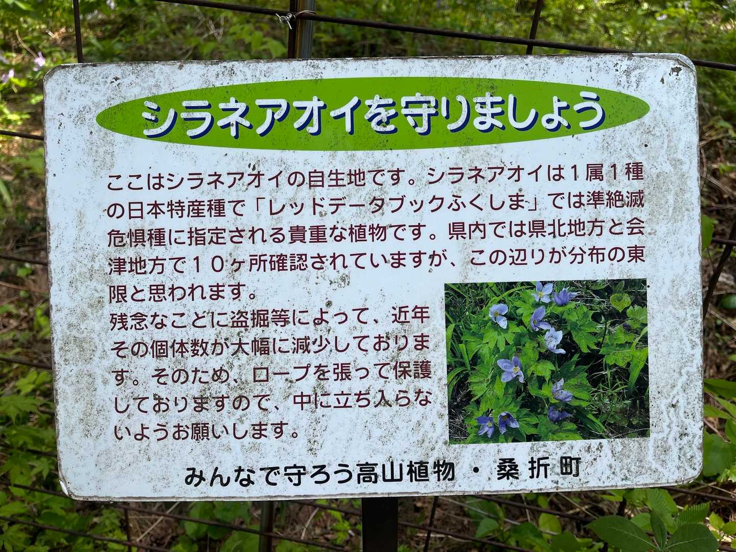 🧐・・・なるほど