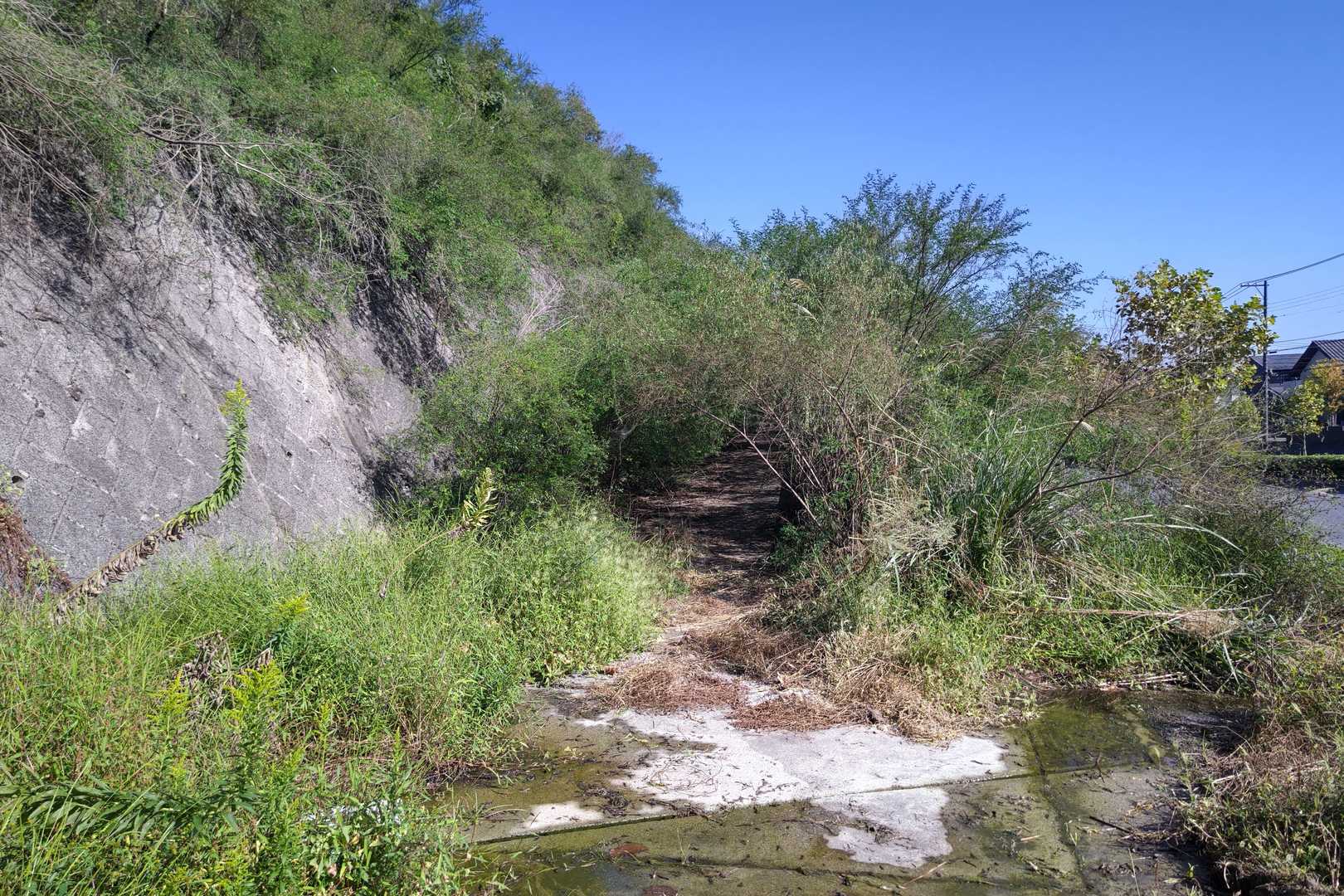 え⁉️コチラが登山口⁉️😱
何かYaboo～🌿🌿なんですけど(笑)