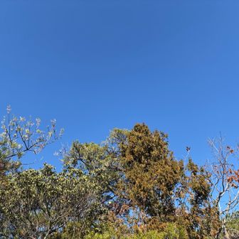 抜けるような青空です