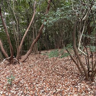 山頂標識ないか