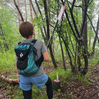 物見山山頂辺り
