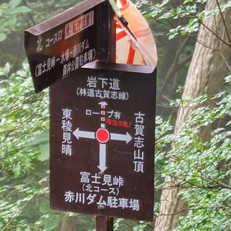 登り返して
古賀志山からの東稜に乗りました
