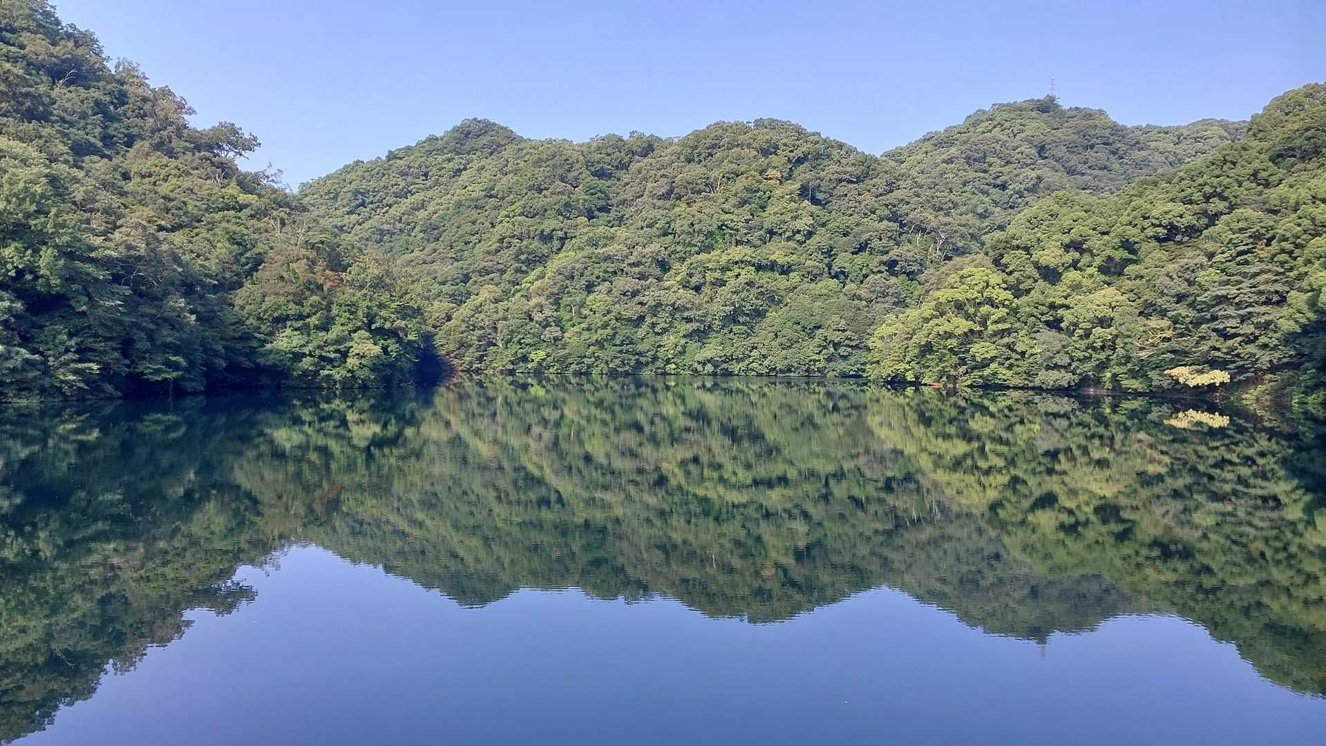いつもより湖面に映る緑がきれいに感じる