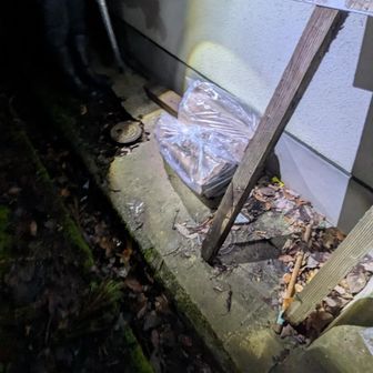 さて朝活！
このビニールに、きどみんが持ってきてくれた薪木が入ってます！