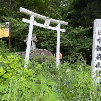 昔から登られているんだね