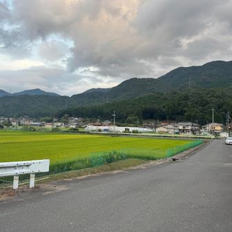 1人居残り…お急ぎモードで下山🥾