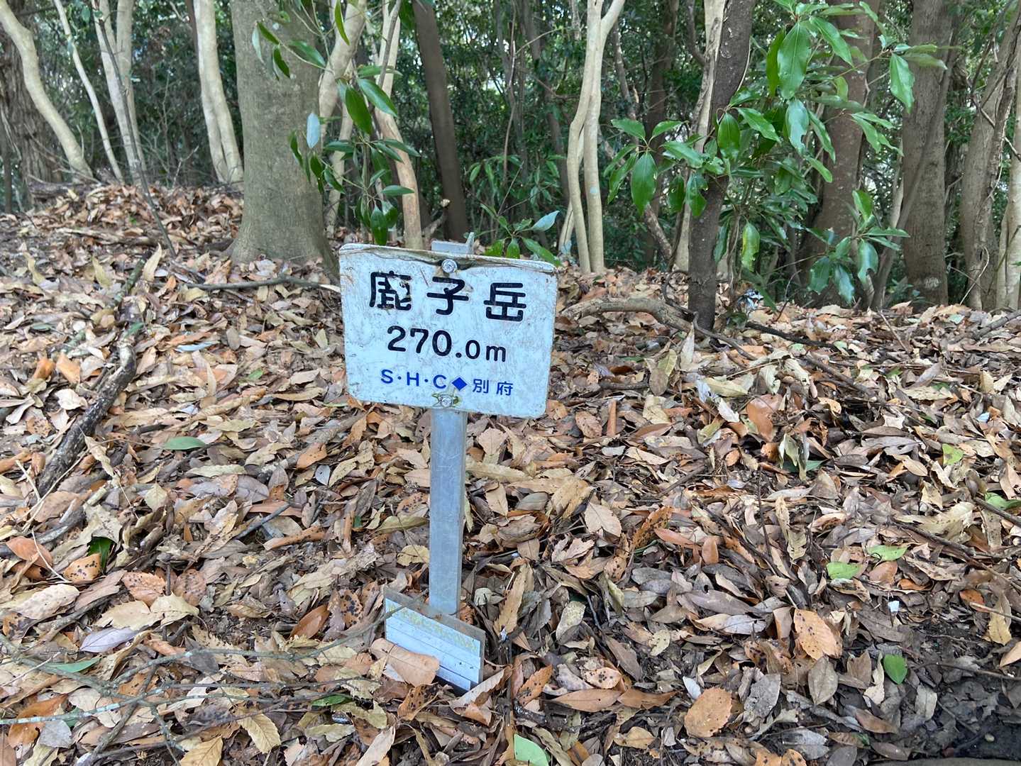 鹿子岳の写真
