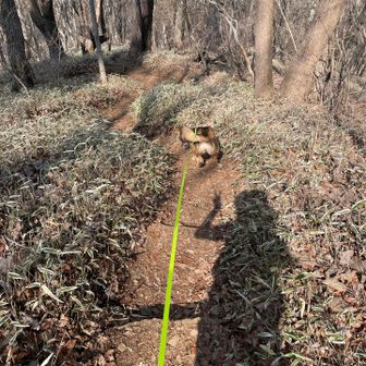 高川山だけじゃ物足りない気がして‥ちょっと先にあるピーク(羽根子山・カンバ沢の頭)に行ってみます！