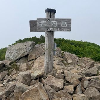 先ずは岩内岳の山頂に到着🙌🏻
山頂もめっちゃ強風で写真だけ撮って奥のハイマツの間に逃げ込みました😮‍💨