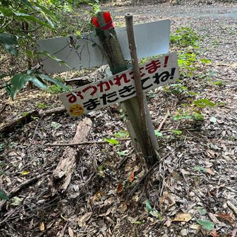うん、また来る