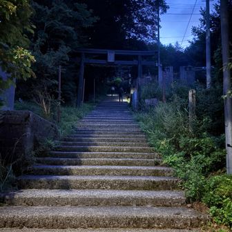 朝5時過ぎスタート