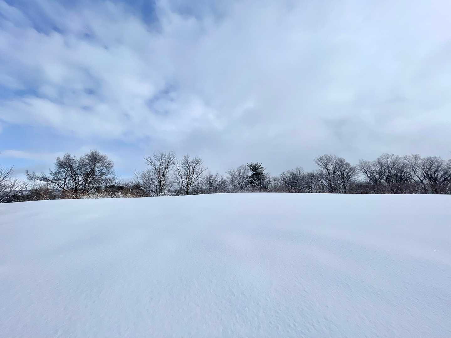 山頂♪
足跡つけほーだい👣