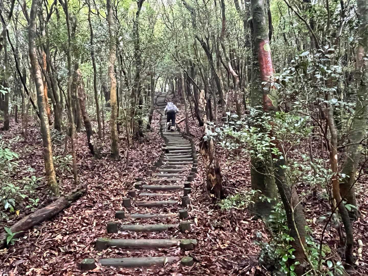 よっつ目、全く記憶に残ってない😅
ふたつくらいかと思ってた。