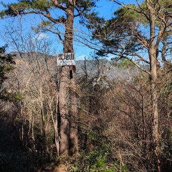 山頂は誰もおらず。