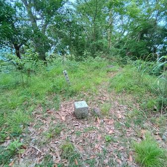 松倉山の頂上に到着。目の前にある三角点は一等三角点「白山」345.14m。

山名板を探すも見当たらない、、、むむむ、もしかしてアレが山名板じゃないか!?😲