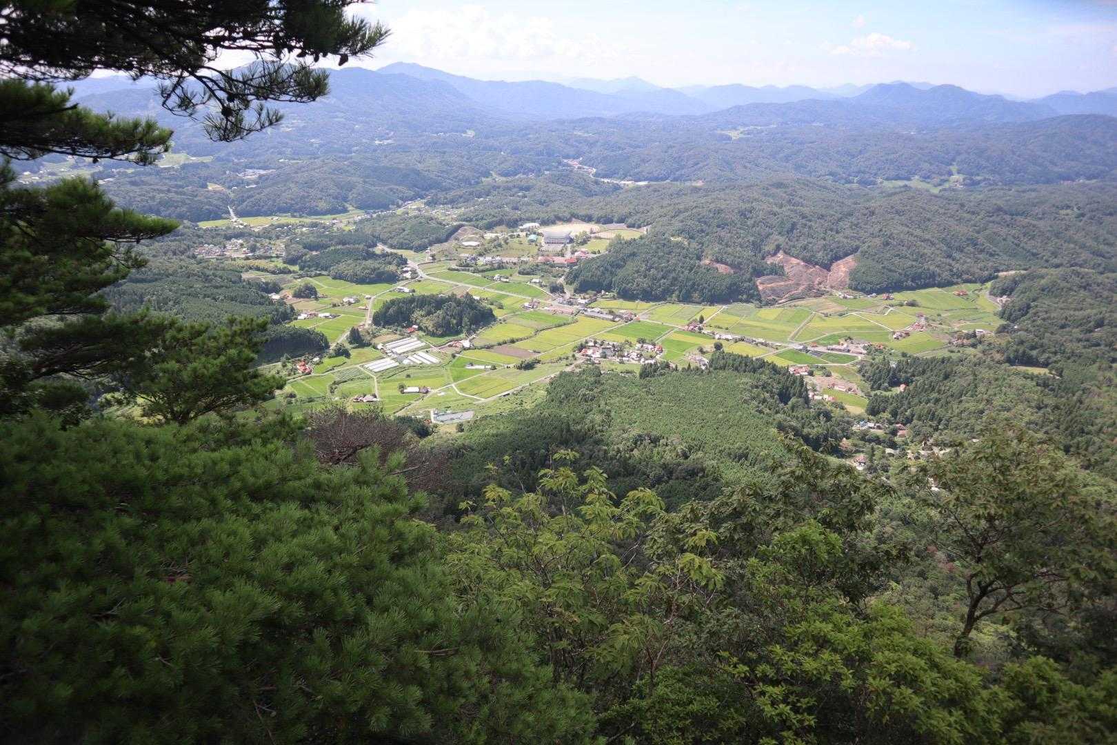 龍頭山 往復コースの写真